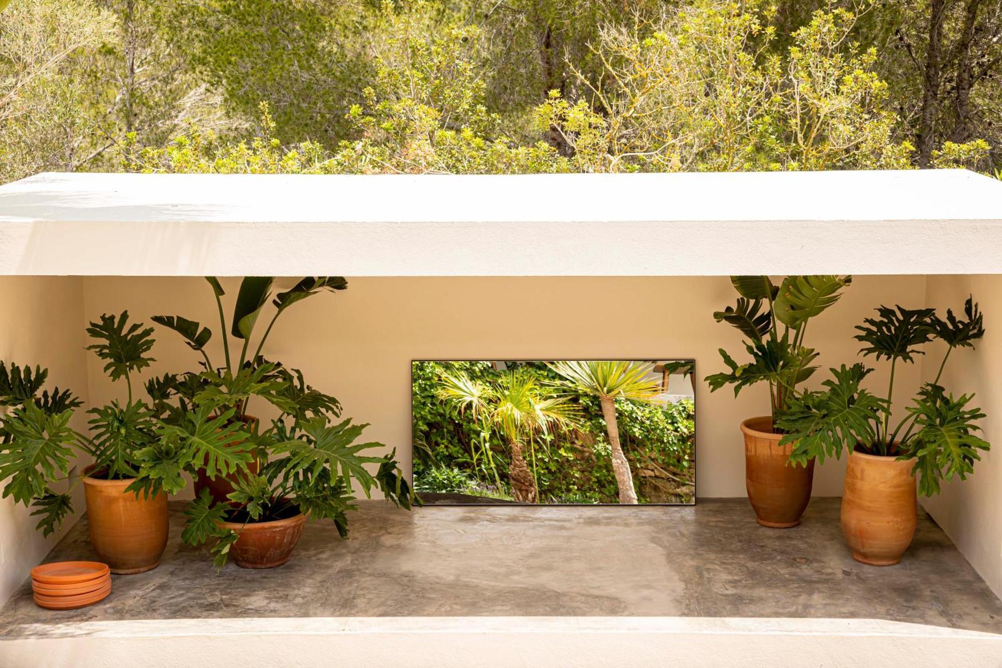 Boutique Hotel Jardines De Palerm San José Εξωτερικό φωτογραφία