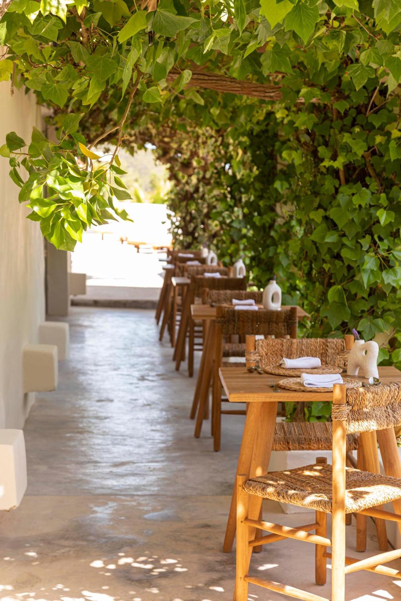 Boutique Hotel Jardines De Palerm San José Εξωτερικό φωτογραφία